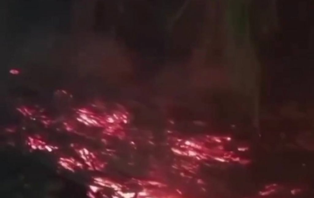 ایرانشهر؛ آتشسوزی در نخلستان‌های دهستان دامن