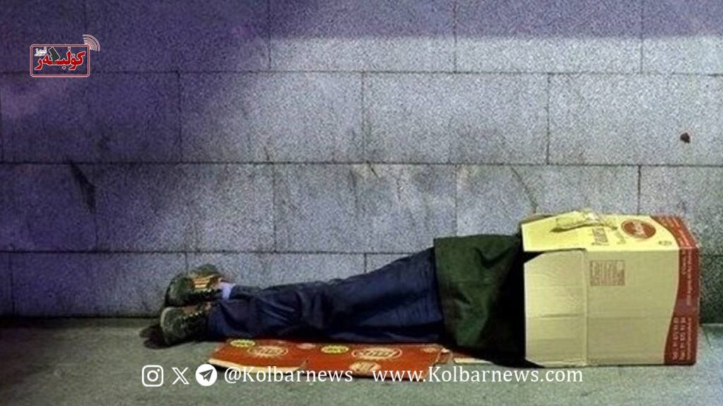 photo 2025 11 10 06 56 12