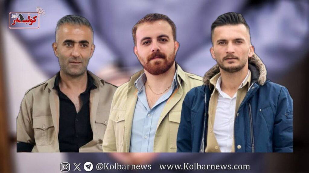 photo 2025 11 30 19.48.03