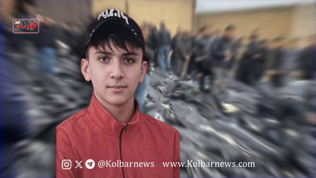 photo 2026 01 23 18.37.18