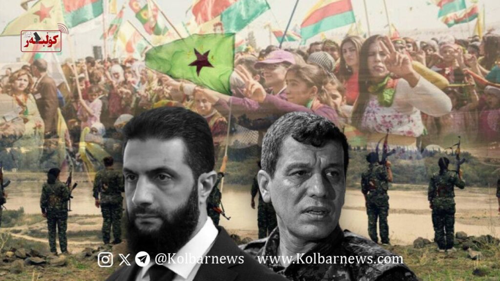 IMAGE 2026 02 03 090110