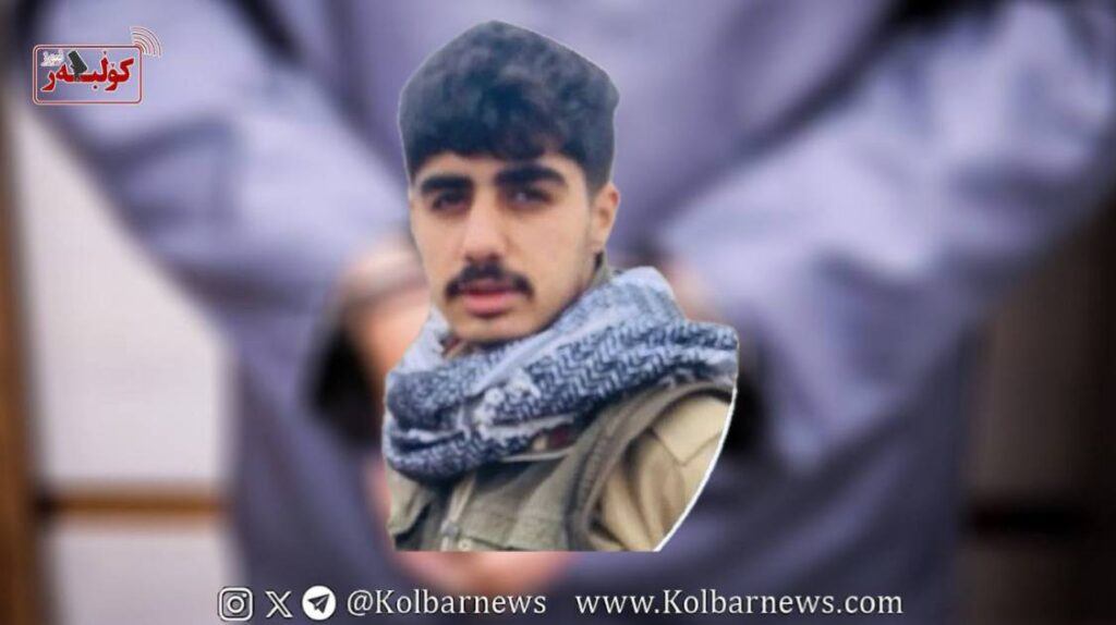 photo 2026 02 08 22 37 25